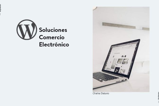 Más de 25 consideraciones para seleccionar una solución de comercio electrónico de WordPress