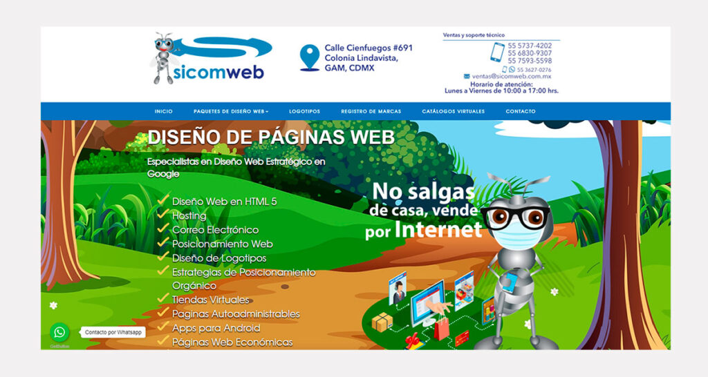 precio de diseño de páginas web en México