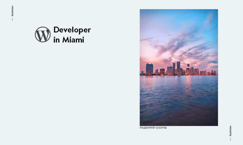 Wordpress Developer in Miami